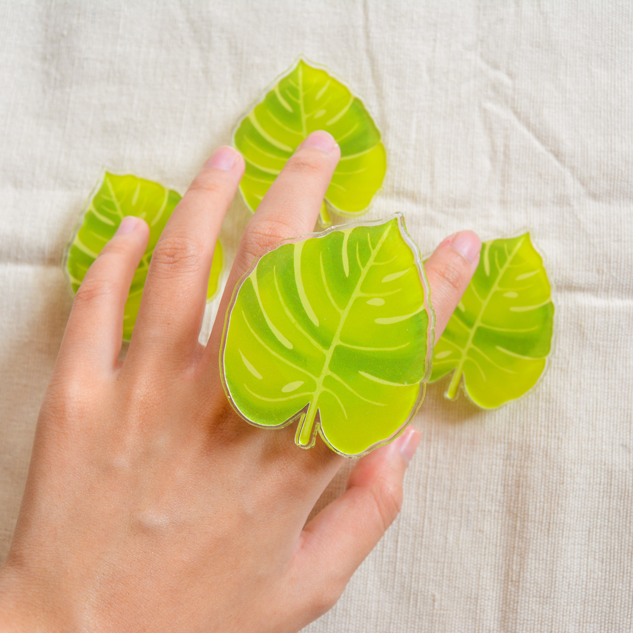 monstera griptok
